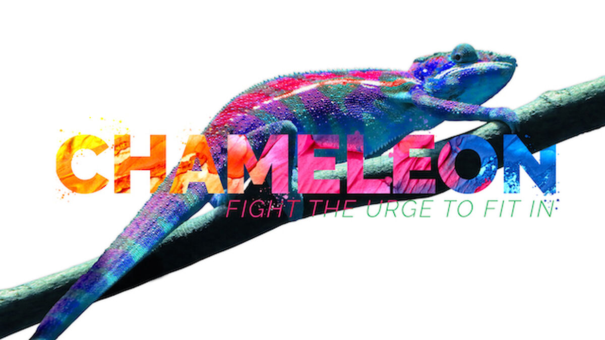 Chameleon: Creative Elements image number 0